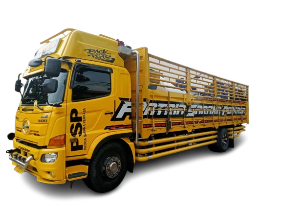 WhatsApp_Image_2025-03-06_at_09.41.35-removebg-preview psp transport